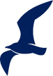 Möwe